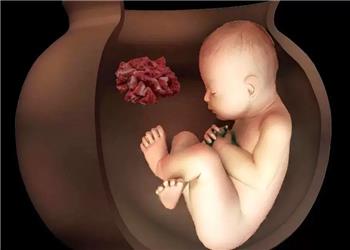 آیین عجیب تدفین ایرانیان باستان؛ 2 جنین 6500 ساله در تپه چپرآباد ایران کشف شدند