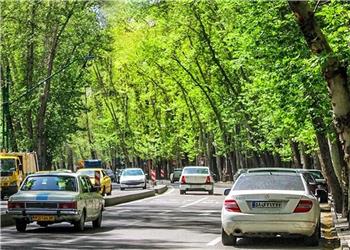 نمایی از خیابان شریعتی فعلی، وقتی خاکی بود/ عکس